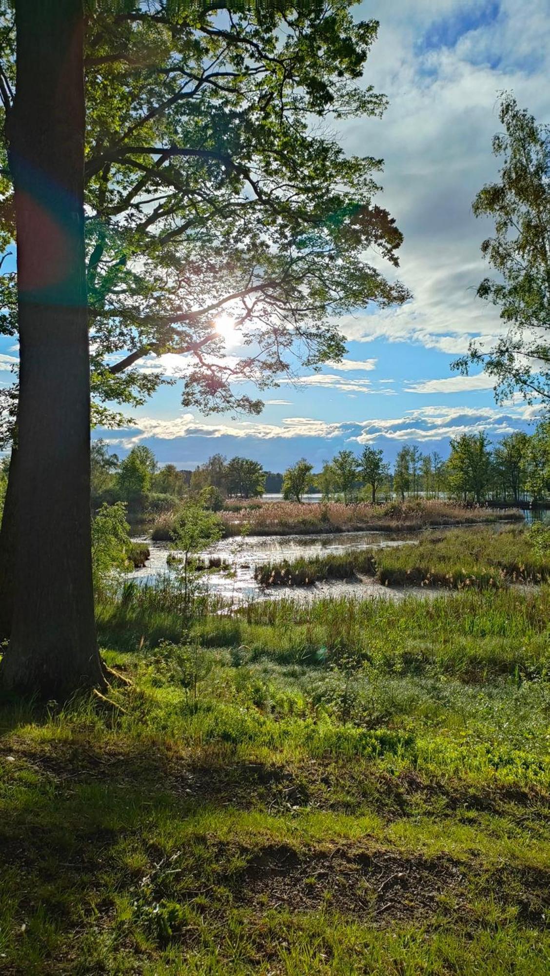 Rekreacni Chata Val Veselí nad Lužnicí Exteriör bild